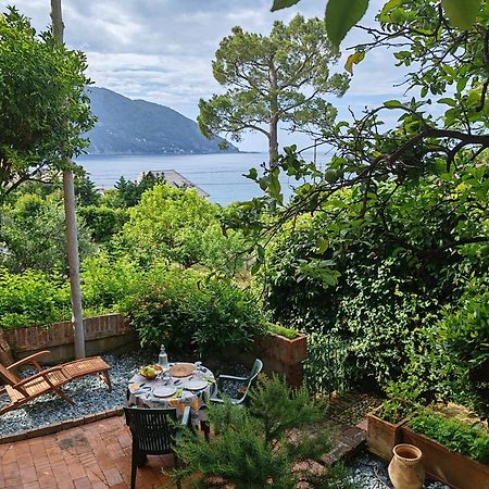 B&B La Taverna Di Mulinetti Recco Dış mekan fotoğraf